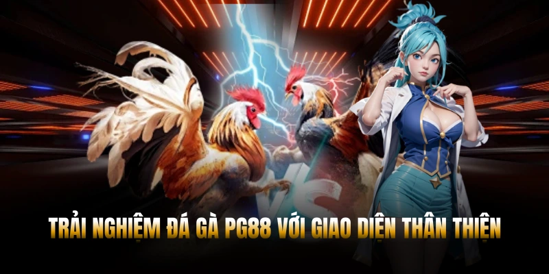 ĐÁ GÀ PG88 – CẬP NHẬT TRẬN ĐẤU KỊCH TÍNH MỖI NGÀY 1 Trải nghiệm đá gà PG88 với giao diện thân thiện